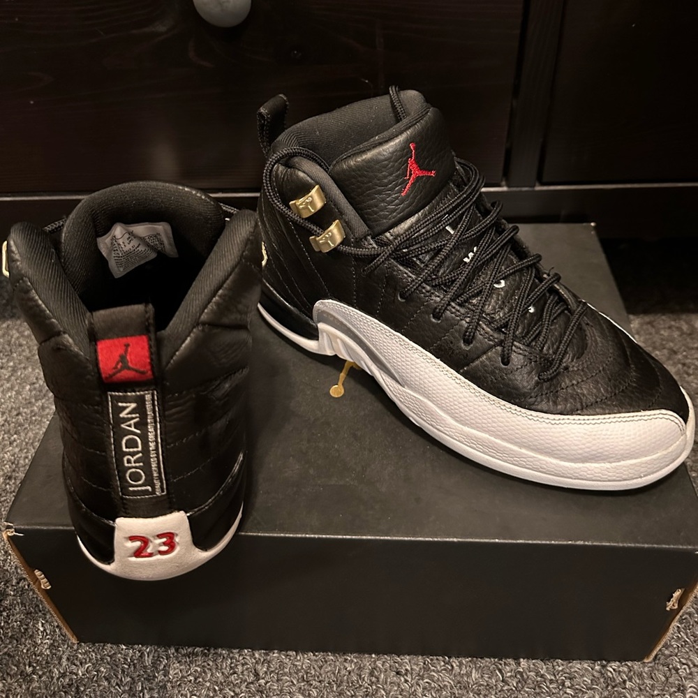 Air Jordan 12 Retro GS